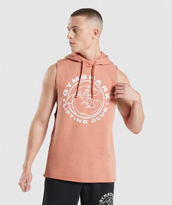 Sudadera Con Capucha Gymshark Legacy Drop Arm Hombre Rosas | CO 3634GSO